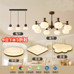 Medieval-Style Living Room Chandelier, American Retro Elegant Main Light, 2026 New Model Persimmon Lamps, Whole House Package Set