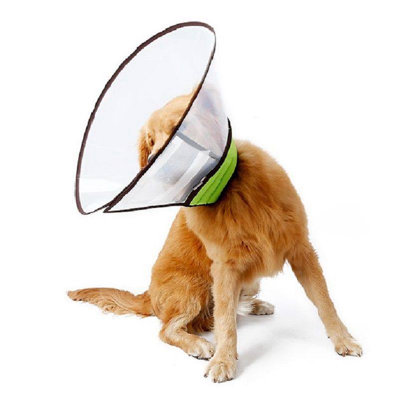 Dog Elizabeth Ring Deepense Large Dog Golden Mao Alaska Big Lick Resistance Adjustable