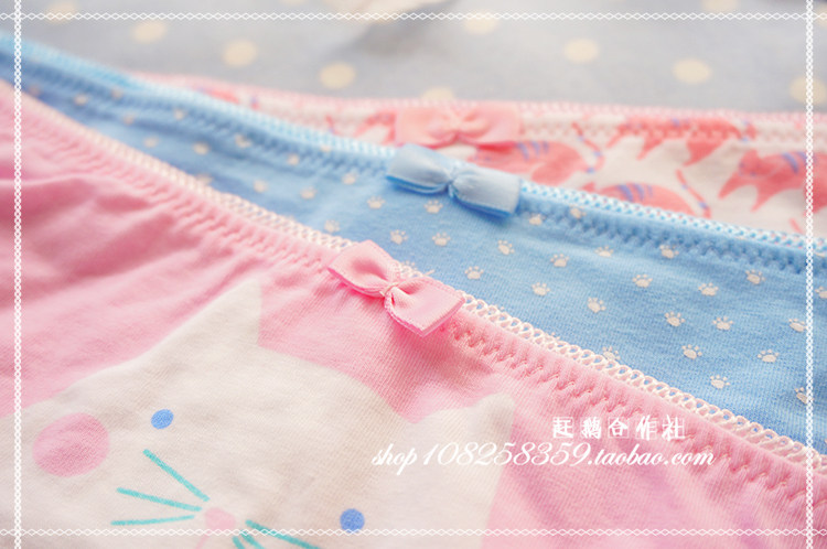 Slip doux en coton - Ref 641286 Image 21