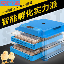 Incubators Small incubators fully automatic home small chicken hatchery Hatchery Duck Goose Dove Bird Species Egg Ovalorization