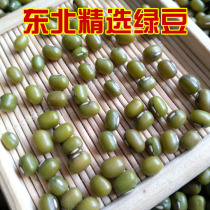 Green bean Northeast farmhouse Self-planting bulky green beans 500g full RMB27