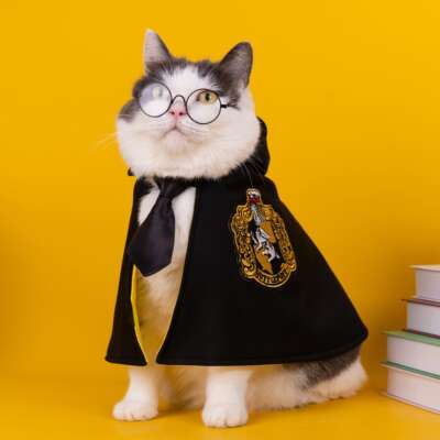 Harry Potter cat clothes, pet capes, Magic School dog cloaks, small dog pets, cotton dolls