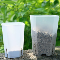 Octagonal basin plus high flower green plant square mouth green plant basin desktop small basin succulents flower pot simple square basin