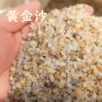 Golden sand Washed sand Washed sand fleshy potted granular soil formula Medium fleshy paving stone Pure granular soil