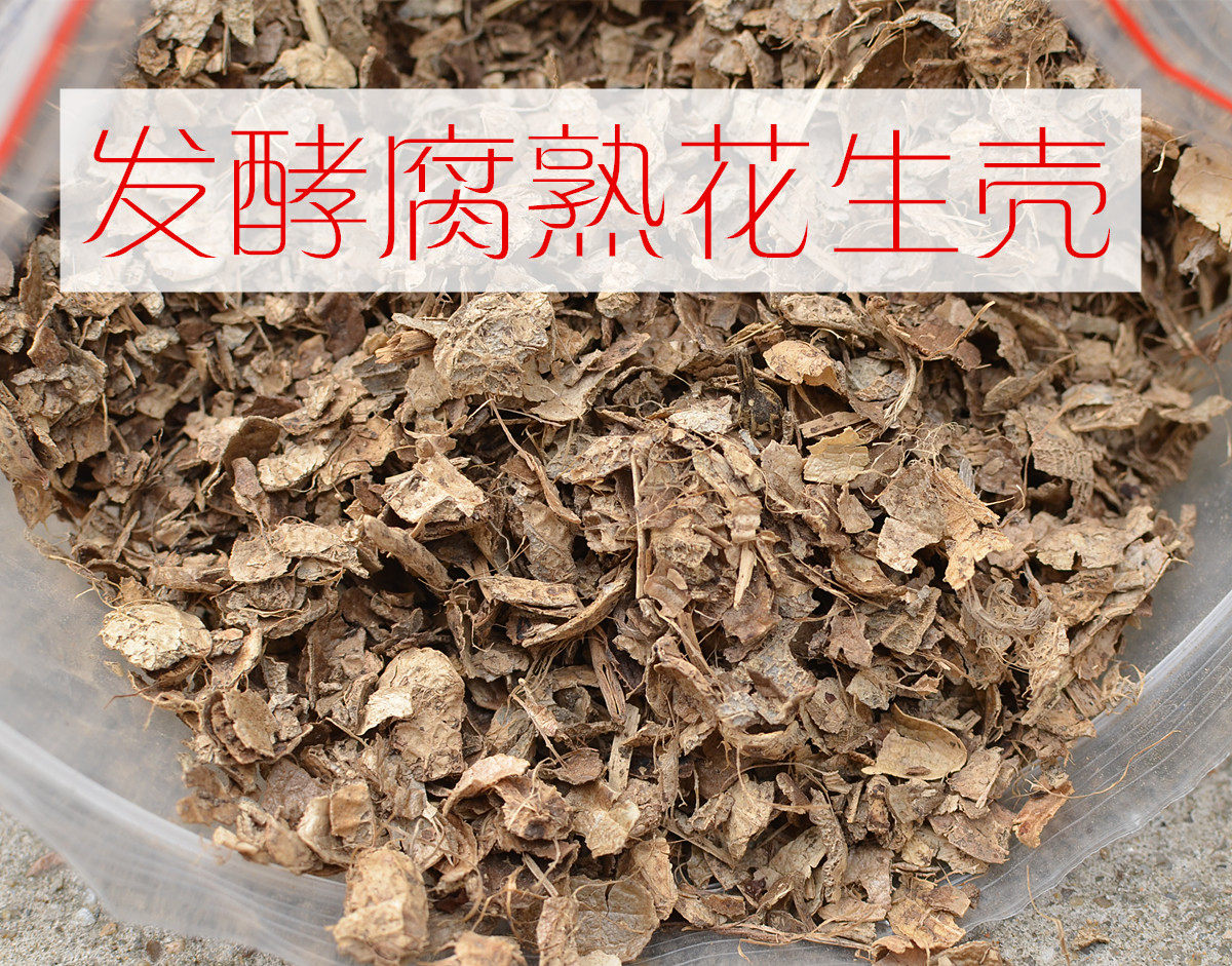 Fermented Curd Cooked Peanut Shell Orchid Plant monarch Lando Multi-meat butterfly Lanyue Iron Thread Lotus Potted Nutritious Earth