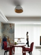 Spanish Duo Minimalist Round Ceiling Lamp Living Room Wood Grain Modern Simple Nordic Designer Study Bedroom Lamp