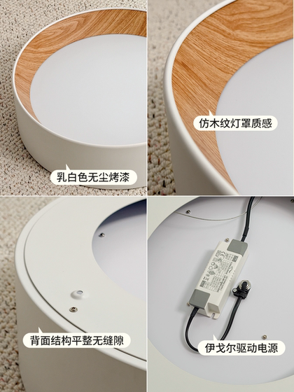 Spanish Duo Minimalist Round Ceiling Lamp Living Room Wood Grain Modern Simple Nordic Designer Study Bedroom Lamp