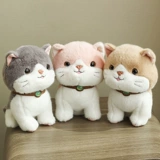 Милая плюшевая кукла, успокаивающая игрушка, кот, котенок