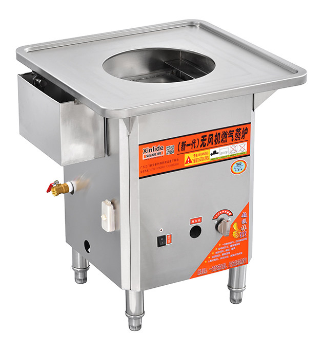 (New Generation) Fanless Gas Steam Oven