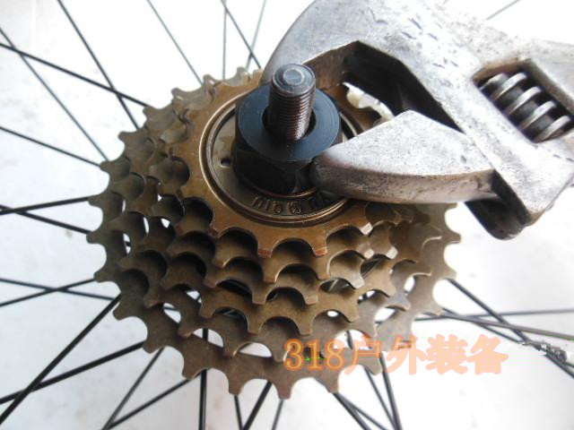 Pignon de vélo CAMPAGNOLO - Ref 2364547 Image 10