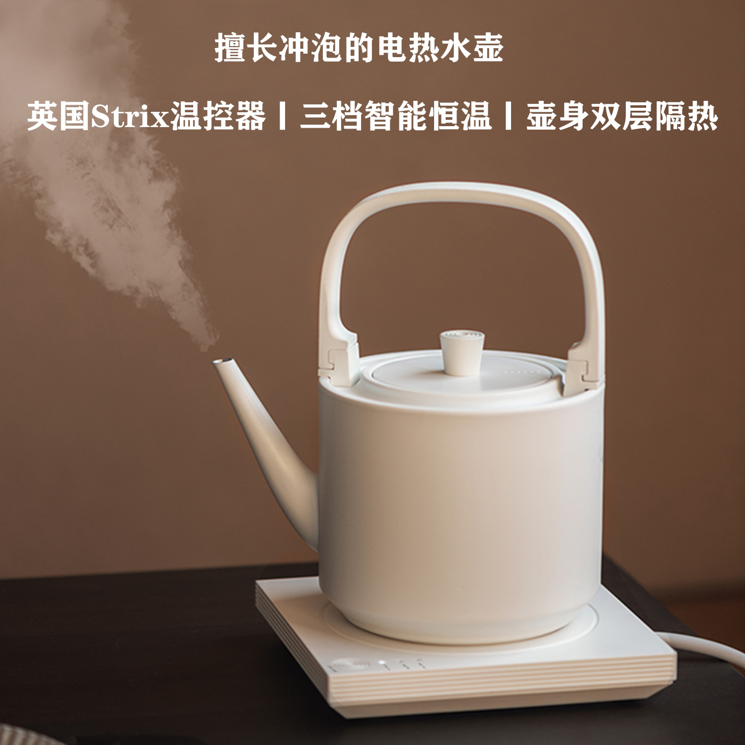Double Layer 304 Stainless Steel Thermostatic Anti-heating Electric Kettle Japanese Tea Kettle Insulated Tea Kettle Insulated Kettle