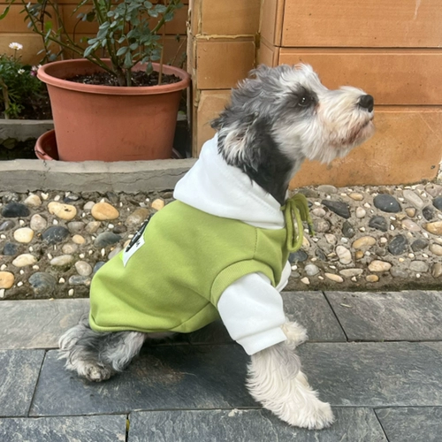 Толстовка, утепленный пуховик