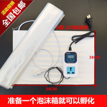 Water bed incubator household type chicken duck goose quail pigeon Peacock incubator