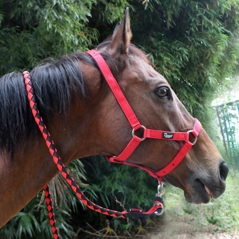 Textile lead horse head equestrian supplies equestrian head lead horse head lead horse head durable strong tethered horse head eight foot dragon