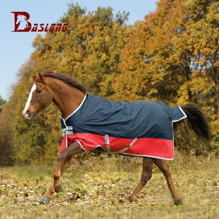 Irish AMIGO Spring and Autumn Horse Coat Thin Warm Horse Coat Training Horse Coat Breathable Horse Coat Rainproof Windproof Horse Jacket