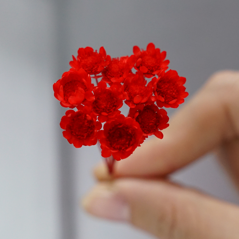 Hoa vĩnh cửu nhập hoa sao nhỏ DIY cô dâu vương miện Hoa tai Epoxy hoa nổi 10 que trang trí vật liệu mini - Phụ kiện tóc kẹp tóc hàn quốc