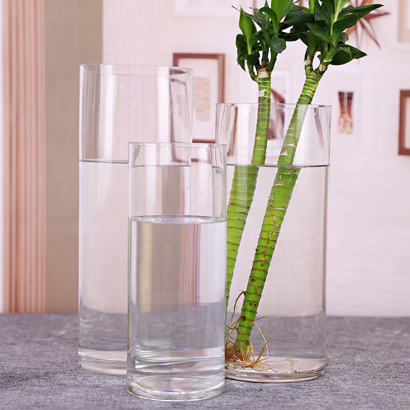 King size vase simple glass transparent floor-to-ceiling ornament living room dining table water bamboo rich bamboo dried flower arrangement straight tube