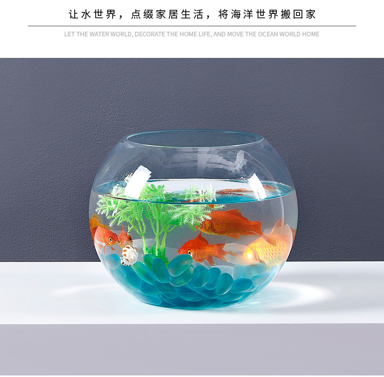 佐木妃小家魚缸玻璃創意圓形水培透明客廳中型辦公室桌面小型金魚迷你小魚缸 Yahoo奇摩拍賣