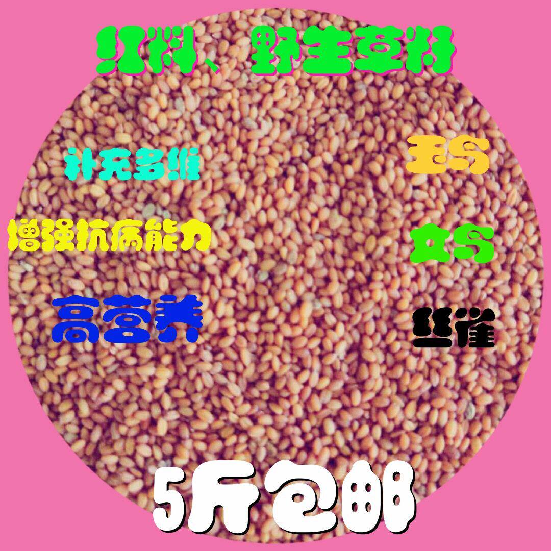 Red wild grass seeds 500g 5 pieces of jade bird food bird food silk bird food gold green gray swallow colorful