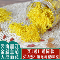 Buy 1 Get 1 Free 1 Yunnan golden silk Emperor chrysanthemum a Cup buy 2 send wolfberry special canned big yellow chrysanthemum tea clear fire