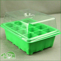 Green black insulation moisturizing light transmission 12 hole seedling nursery tray Three sets of seedling box cavity disc special seedling box