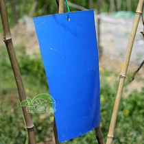25 * 15cm double-sided blue sticky worms paper blue trapping and insect-worm plate imported viscose control thistle