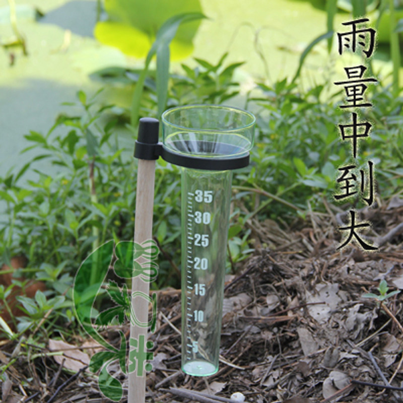 Garden Outdoor Single Type Amount Rain Instrumental Rainfall Observation Record Small Wooden Stick Easter Can Be Inserted Agriturisk Tool