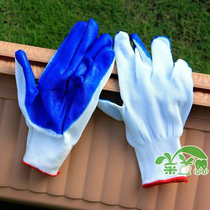 New Softness Durable Labor Gloves Protection Gloves Gardening Gloves Diner Gloves Nylon Rubber Gloves Nylon Rubber Gloves