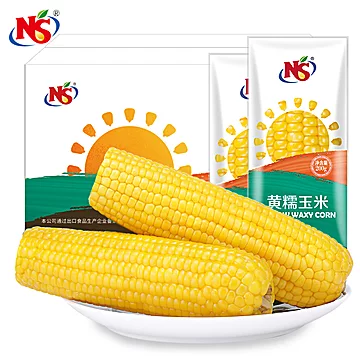 NS玉米8根东北甜糯玉米棒