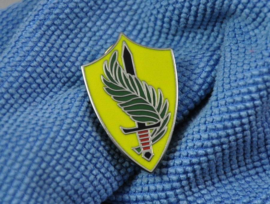 Collection US Central Command USCENTCOM Metal Badge Badge Team Identification Badge 