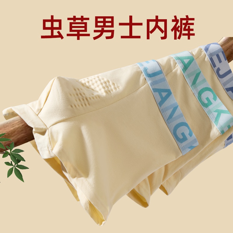 Desensitizing and Allergy-Reducing Men's Underwear, Pure Cotton Boxer Briefs, Care for the Beast, Awakening Men's Vitality, Cordyceps Massage Pants