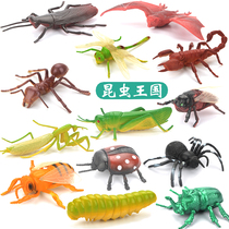 Childrens insect toys Plastic simulation animal model Spider butterfly Bee Centipede Ant size ornament set