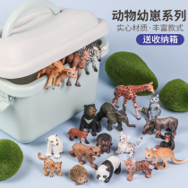 Simulation small animal cub toy solid zoo model tiger lion child baby cognitive set Mini