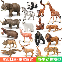 Simulation animal toys Children safari model Lion Elephant Tiger Giraffe baby cognitive ornaments