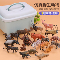Simulation wild animal toy set Zoo model world Boys and girls children baby cognitive early education ornaments