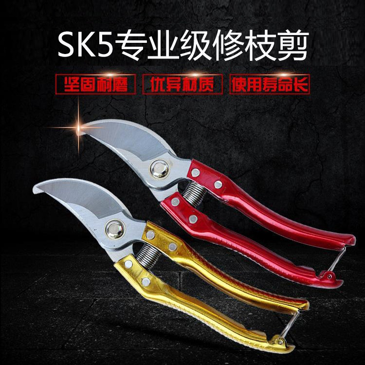 Garden gardening scissors gardener pruning branches pruning branches scissors fruit trees pruning flowers scissors succulent potted pruning