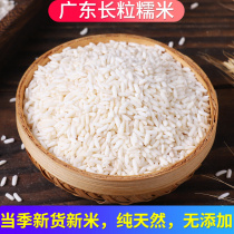 5 catty Guangdong glutinous rice new rice farmhouse self-produced pure and high-quality fresh white long grain Jiangmi glutinous rice dumplings rice dumplings