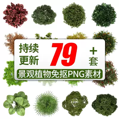 B604 foreign landscape plane material plant shrub forest PS free picture design material color