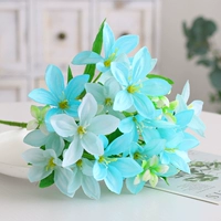 Светло -серый одиночный пакет Новый Lily Light Blue