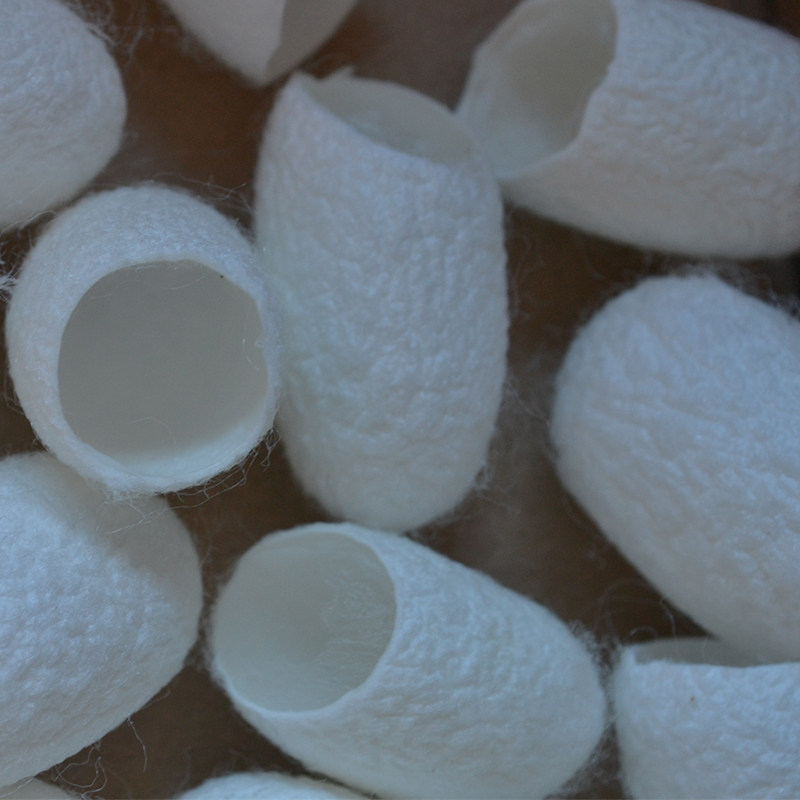 농민의 천연 누에기 고치수 음료 얼굴 얼굴 아름다움 각질 제거 오픈 실크 누에 고치 쉘 실크 누에 고치 무료 배송