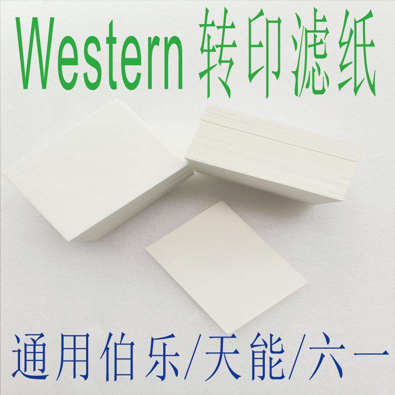 wb滤纸转印转膜湿转Western blot适用伯乐/天能/六一厚转印滤纸