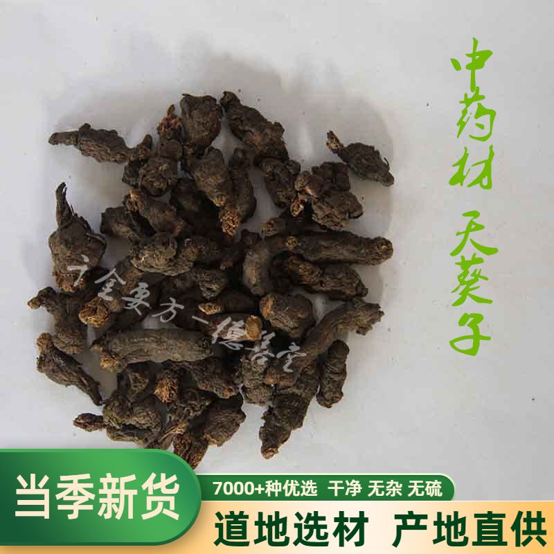 Chinese Herbal Medicine Sky Sunflower Seeds Purple Back Sky Sunflower 500 gr 