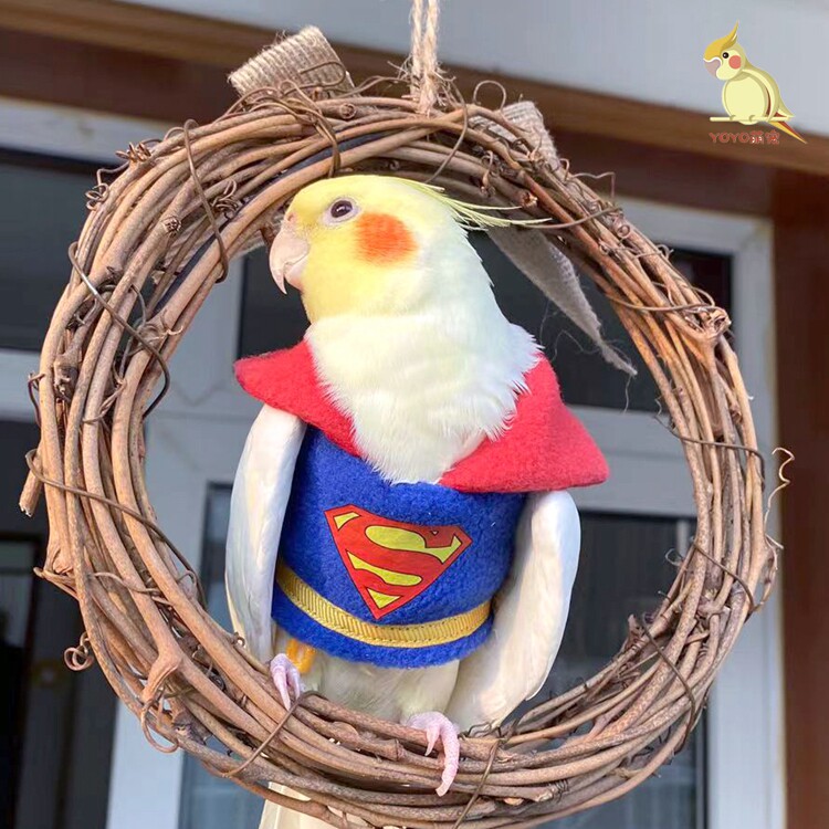 Parrot Flying Peony Peony Tiger Leather New Year Dress Nets Red Plus Cotton Thickened Walking Bird Clothes Superman with Winter Clothes-Taobao