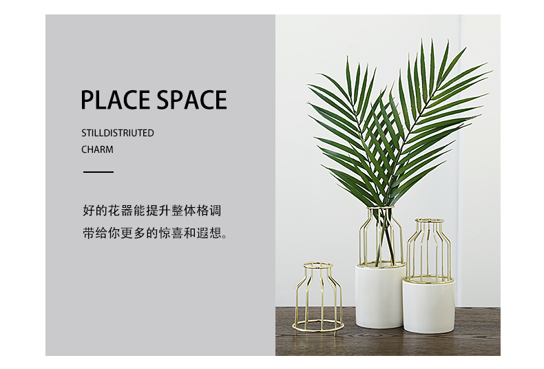 The house ins light key-2 luxury gold furnishing articles, wrought iron ceramic vase, The sitting room simulation flowers, dried flowers, flower arrangement, decoration decoration