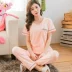 Mùa hè Hàn Quốc cotton ngắn tay quần pyjama cổ chữ V màu đỏ S nhỏ tay nửa có thể mặc bên ngoài phù hợp với dịch vụ gia đình