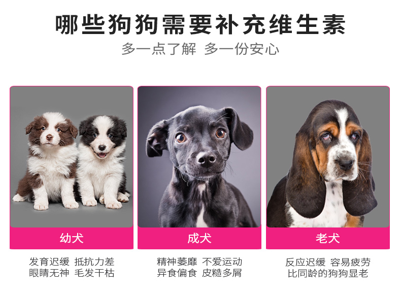 Mei Zi Yuan Dog Cat Pet Viên nén vitamin tổng hợp Jin Mao Teddy thành Chó con Dinh dưỡng 200 Viên - Cat / Dog Health bổ sung sữa cho chó mang thai
