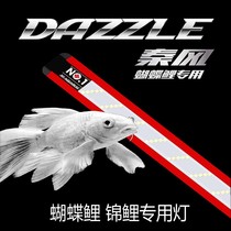 Koi fish tank light LED waterproof butterfly carp koi aquarium special diving light energy saving full spectrum bright