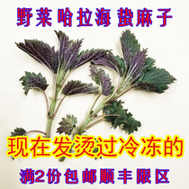 Northeast wild vegetables frozen fresh Jingzi Hara sea nettle bite grass 500 grams full 2 restricted area