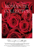 Дождь красная роза [модель] 10 выстрелов 35*50 см.