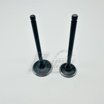 Applicable Lifan Water Cooling 150 Scooter KPV150 LF150T-8 Inlet Gate Combination High Quality Supporting